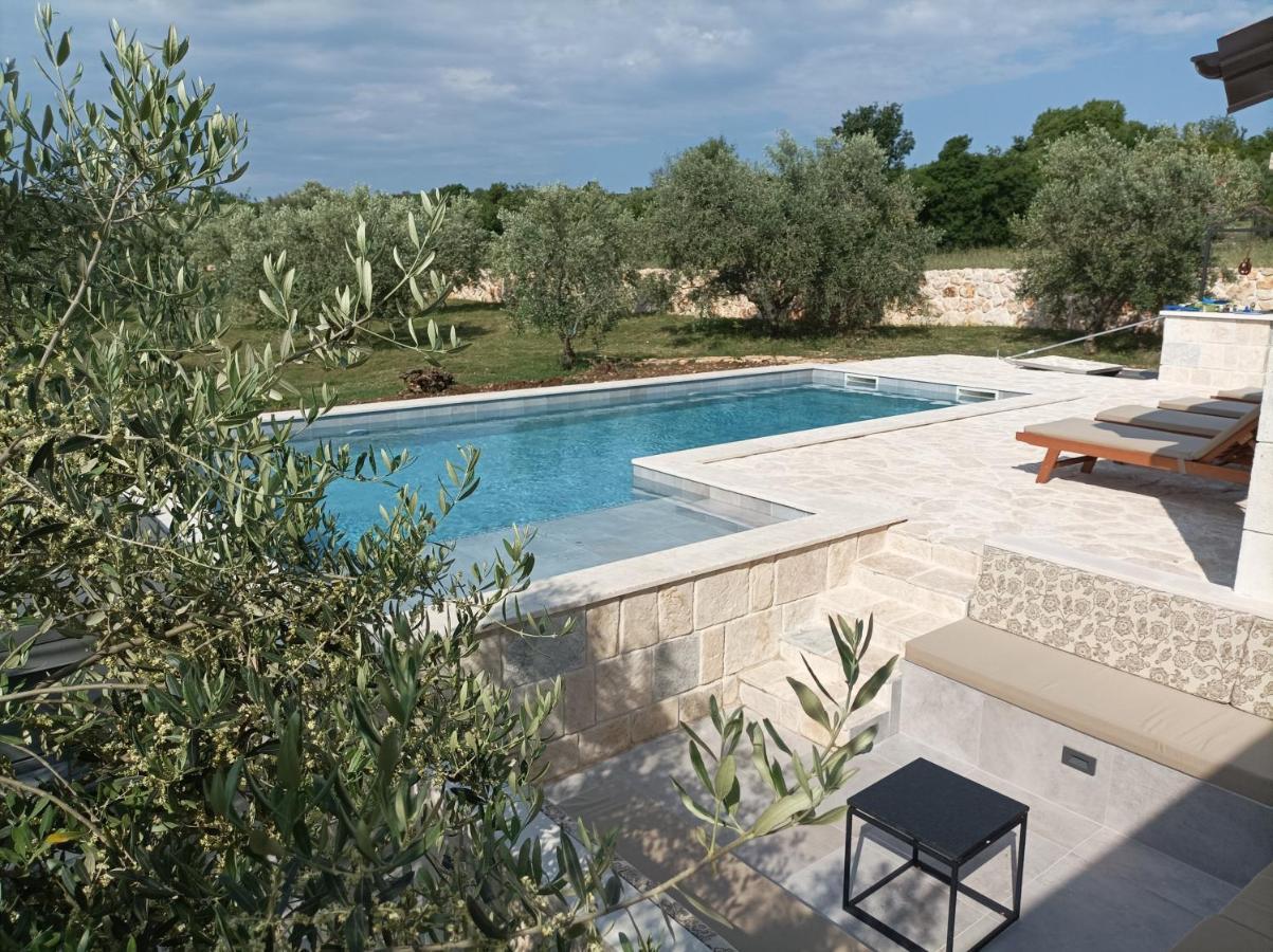 New 2023 Villa Tree Of Life Sveti Petar  Luaran gambar