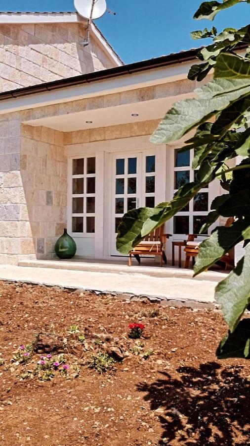 New 2023 Villa Tree Of Life Sveti Petar  Luaran gambar